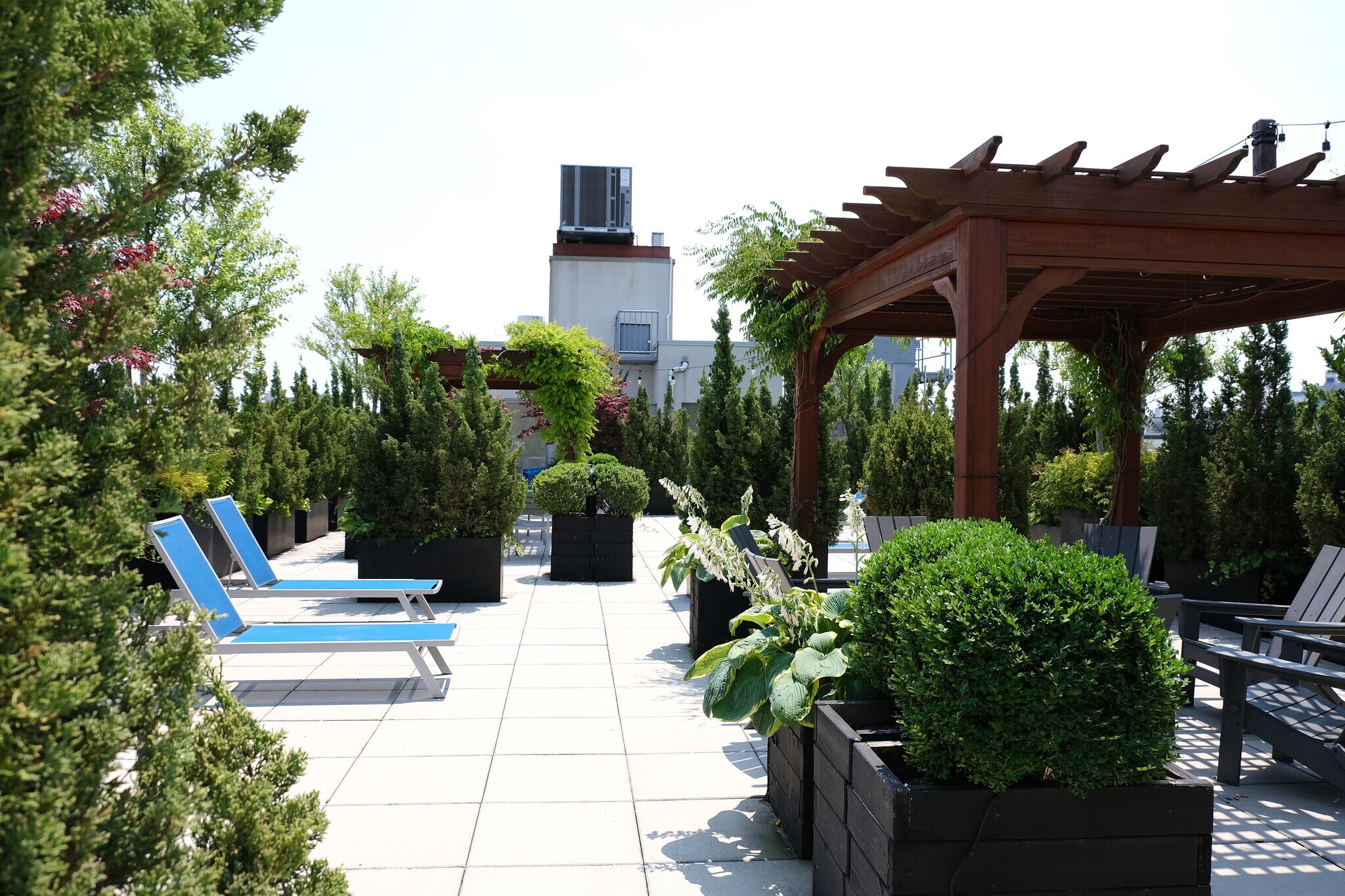 Building Roof Deck - 214 N 11th St