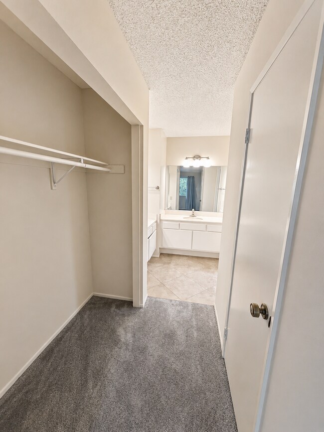 Building Photo - 3727 Mesa Oak Ln