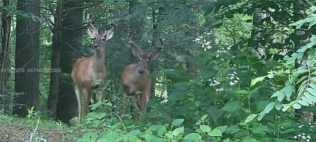 Building Photo - 320 Moss Hill Rd