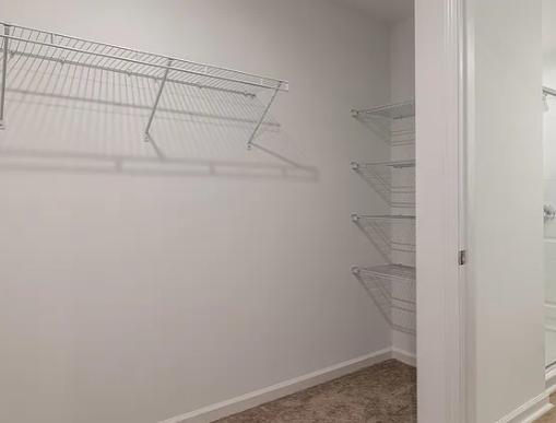 Building Photo - 1504 Rhodes Pond St