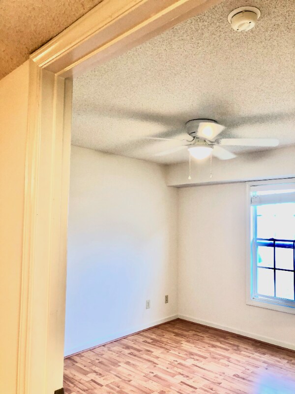 Building Photo - 803 Moultrie Ct