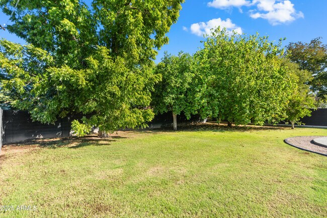 Building Photo - 2502 E Whitton Ave