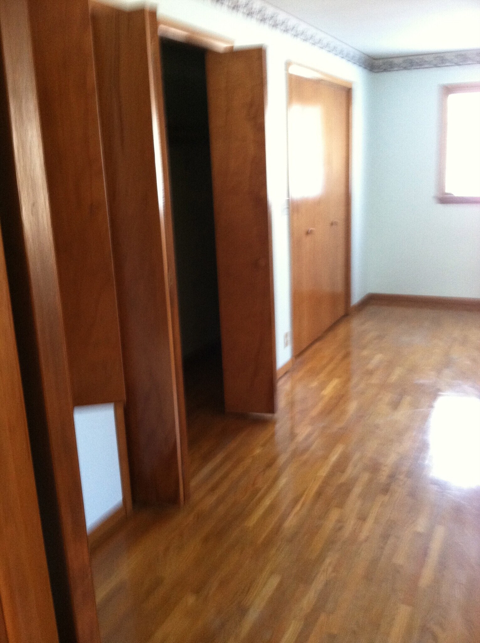 Double closets in master bedroom. - 628 Johanna Avenue Southeast