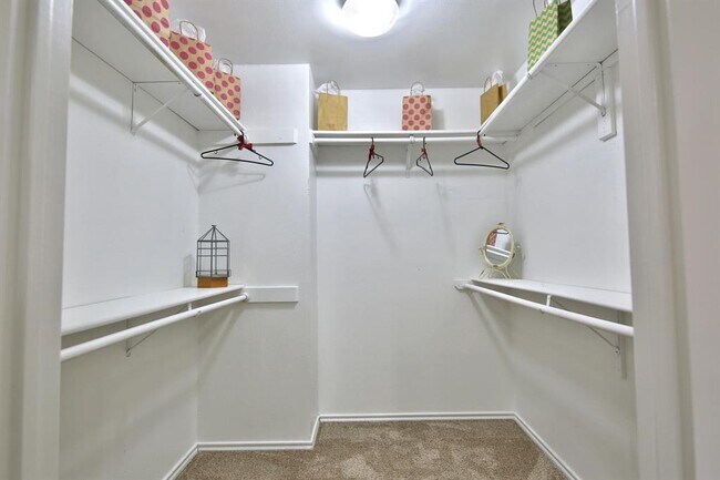 Building Photo - 3880 Williamsburg Cir
