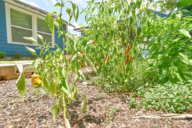 Building Photo - 7 Dupont Ln