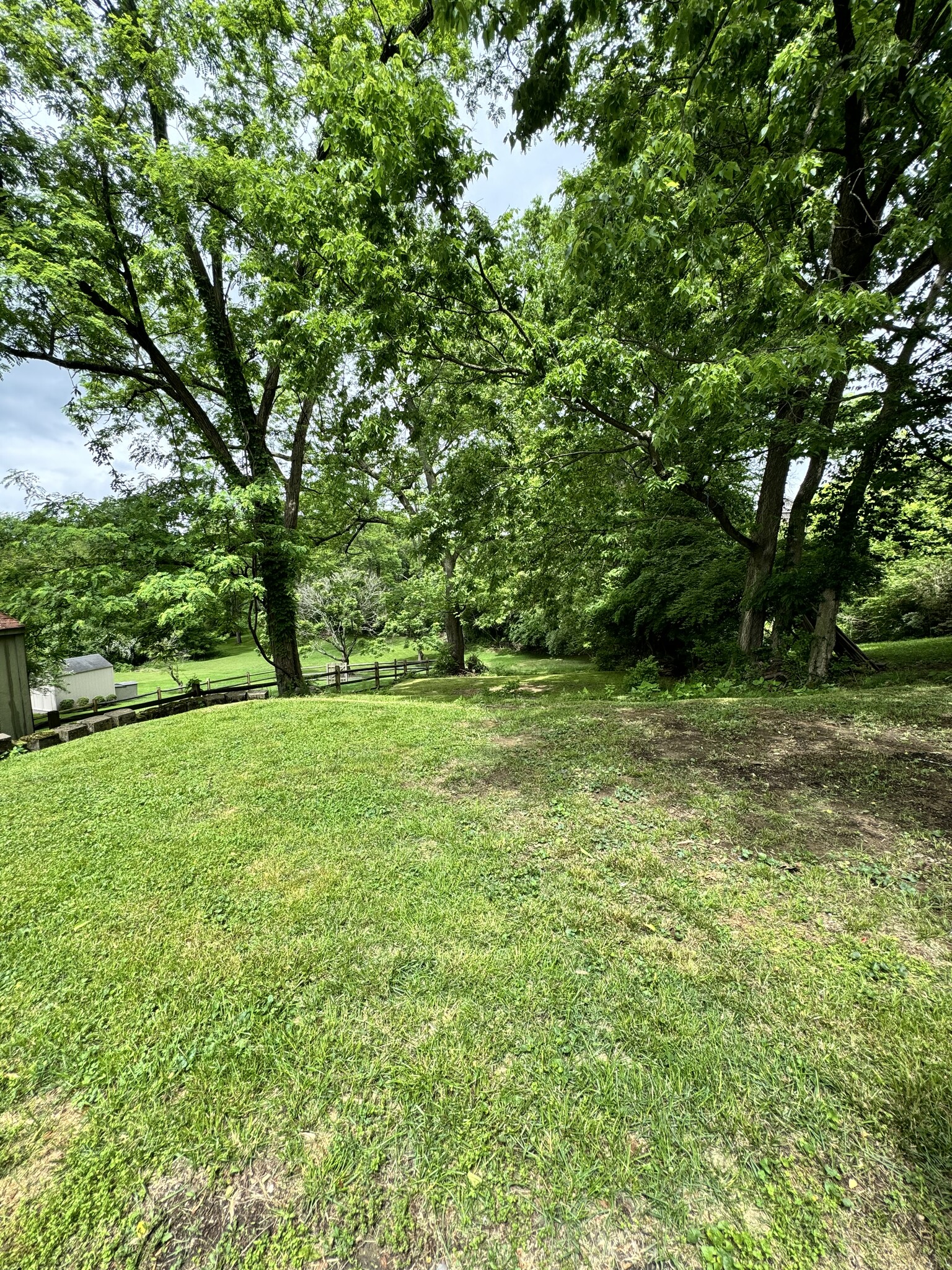 Beautiful backyard! - 45 Hartweg Ave