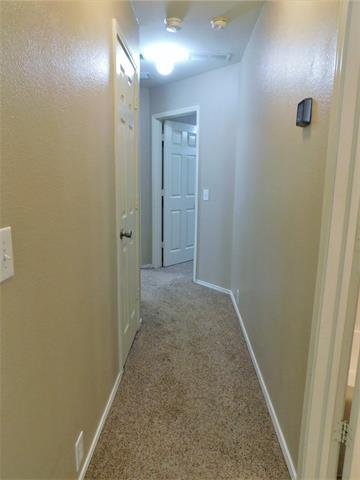 Building Photo - 3804 Luck Hole Dr