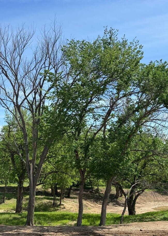 Building Photo - Beautiful modern Townhome in Peaster ISD NO Water Bill -  Fenced Yard - GATED: Spring Move in Spe...