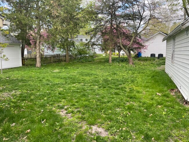 Backyard - 710 S Maple St