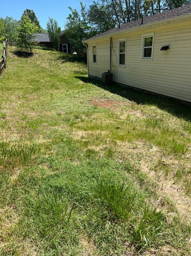 Building Photo - 2 BR 1 BA House in Buchanan VA