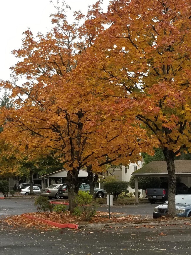 Building Photo - 1229 NE Hogan Pl