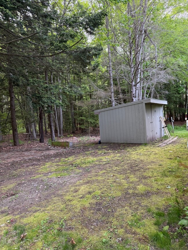 Building Photo - 50 Austin St