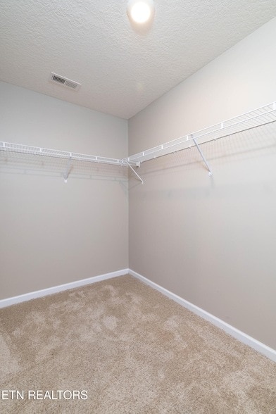 Building Photo - 173 Ashe Ave