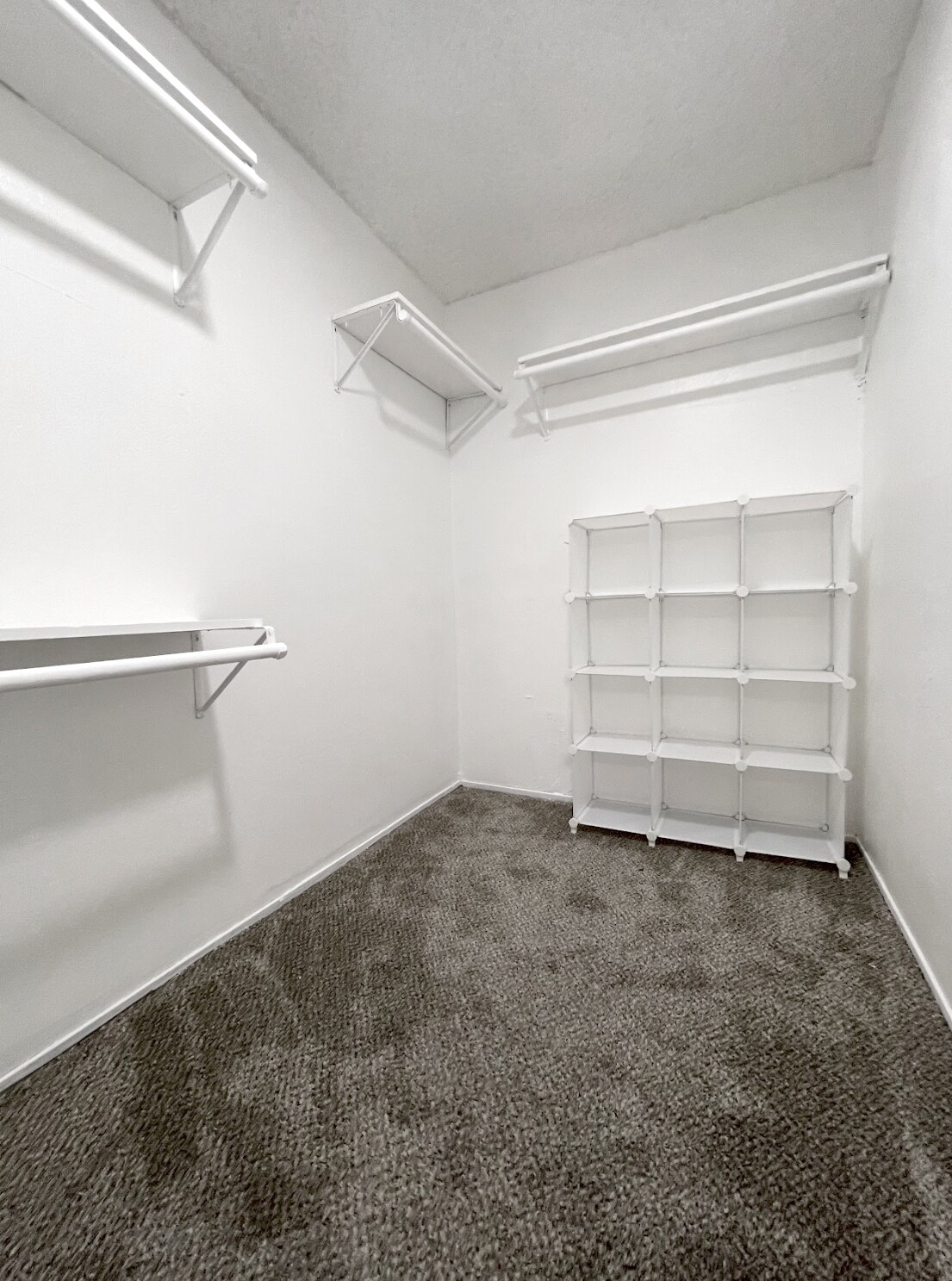 Building Photo - 2365 Fallingtree Dr