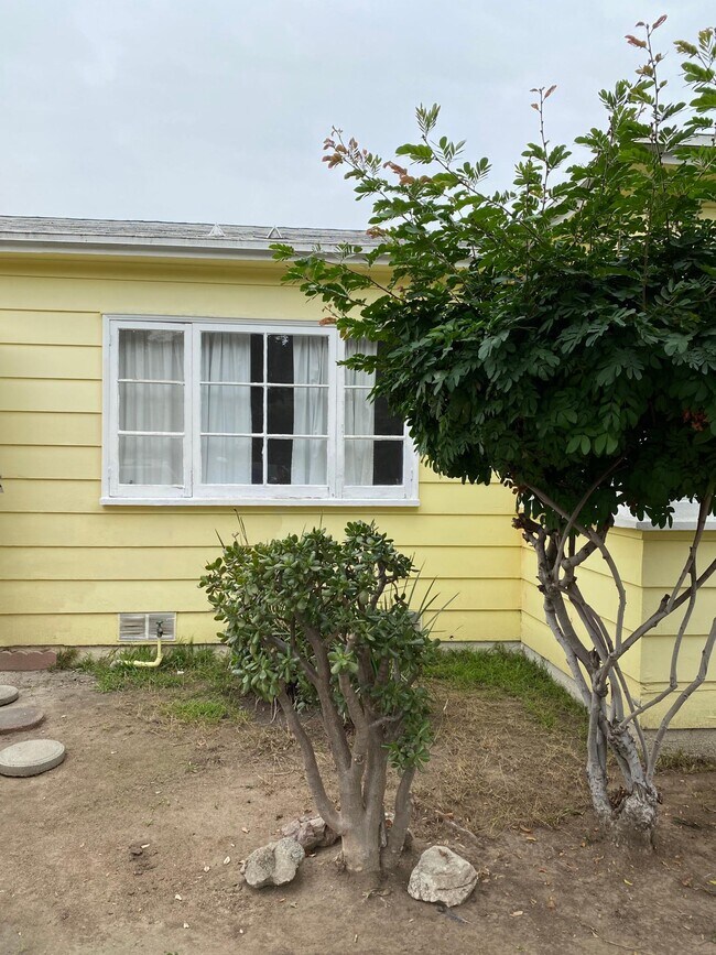 Front of home - 4506 Ellenwood Dr