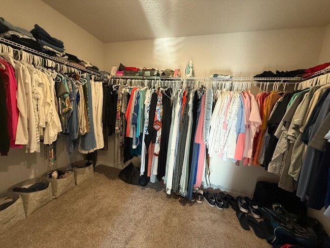 Building Photo - 3919 Radiant Mountain Dr