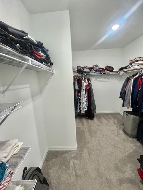 Building Photo - 9906 Spanish Lime Ct