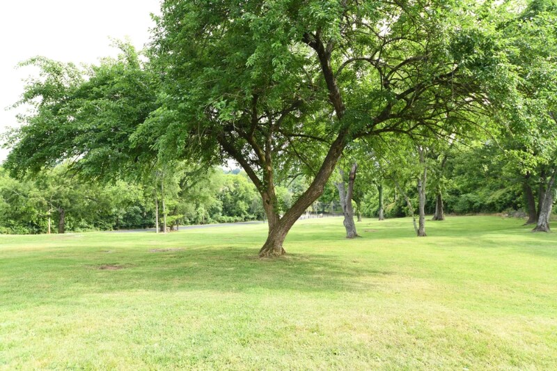 Building Photo - 1106 W 7th St