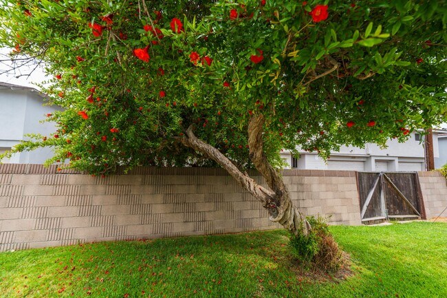 Building Photo - West Torrance 4 bedroom 2 bath