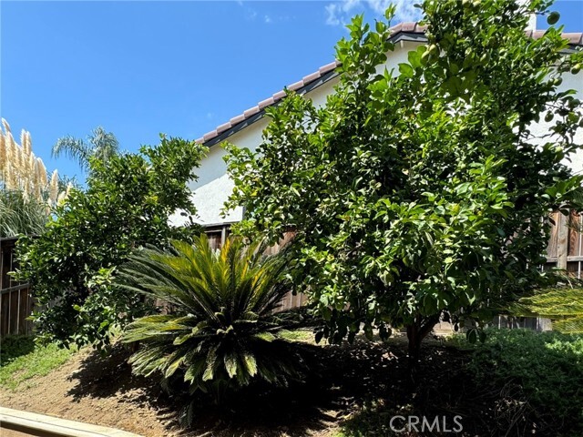 Building Photo - 41438 Grand View Dr