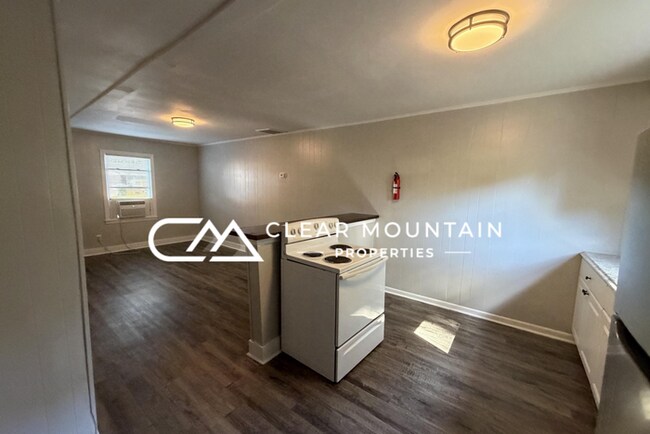 Building Photo - Renovated 2BR Apartment Near Downtown Greer