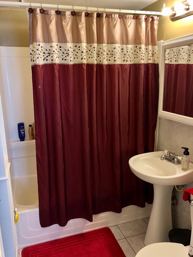 Bathroom 1 (main floor) - 4048 Snelling Ave