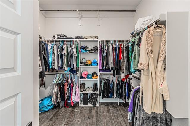 Building Photo - 204 Grace Ct