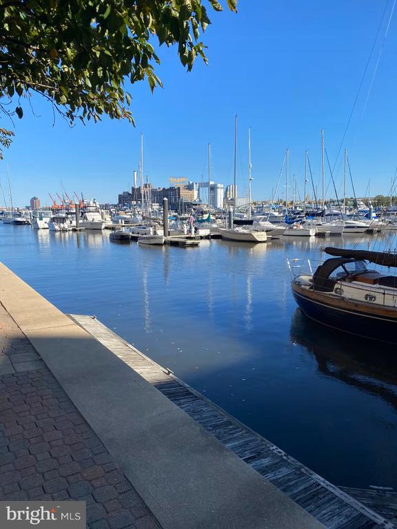 Building Photo - 100 Harborview Dr