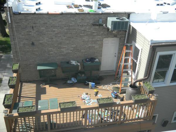 Building Photo - 3535 W Belmont Ave