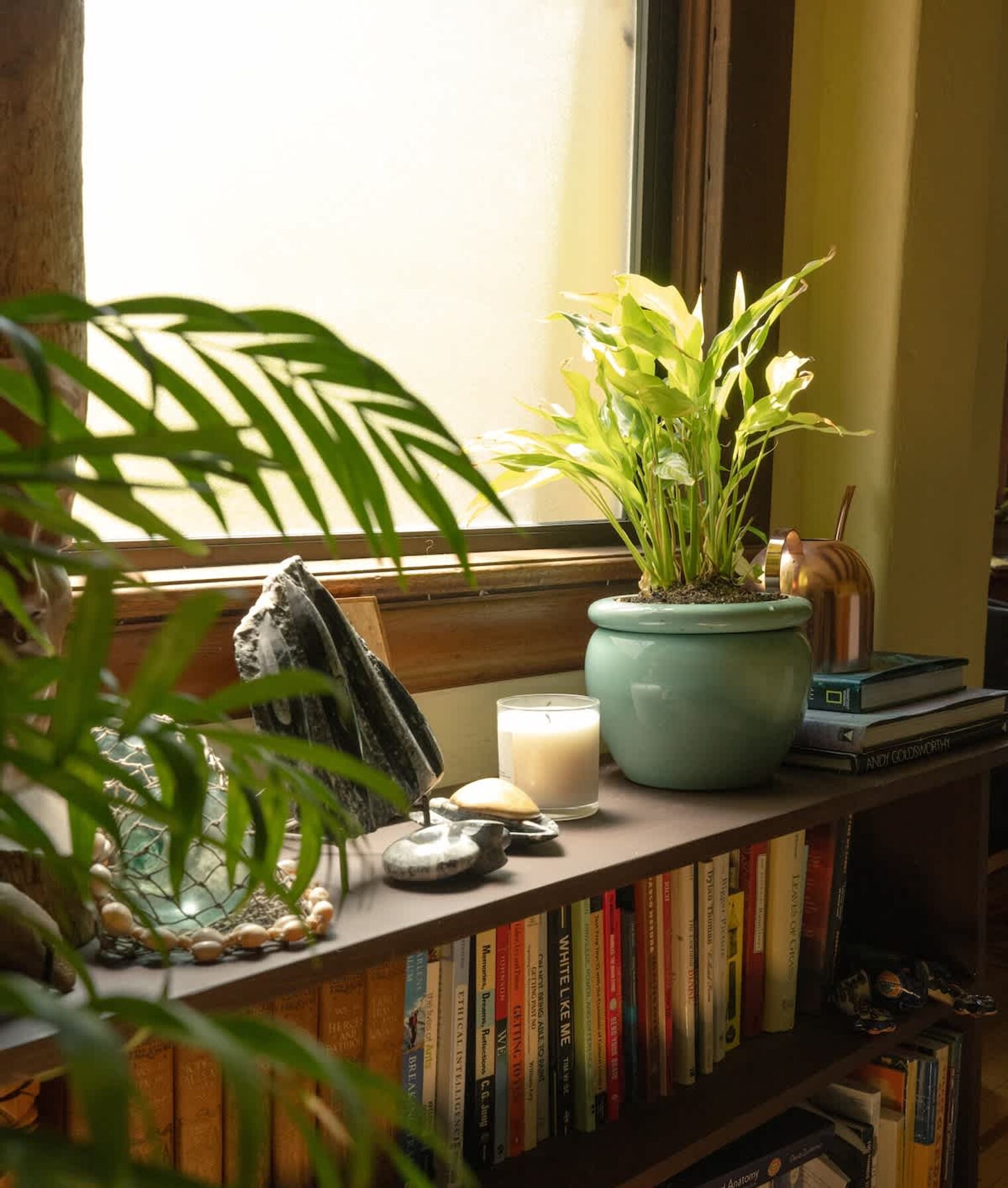 Building Photo - 364 62nd St