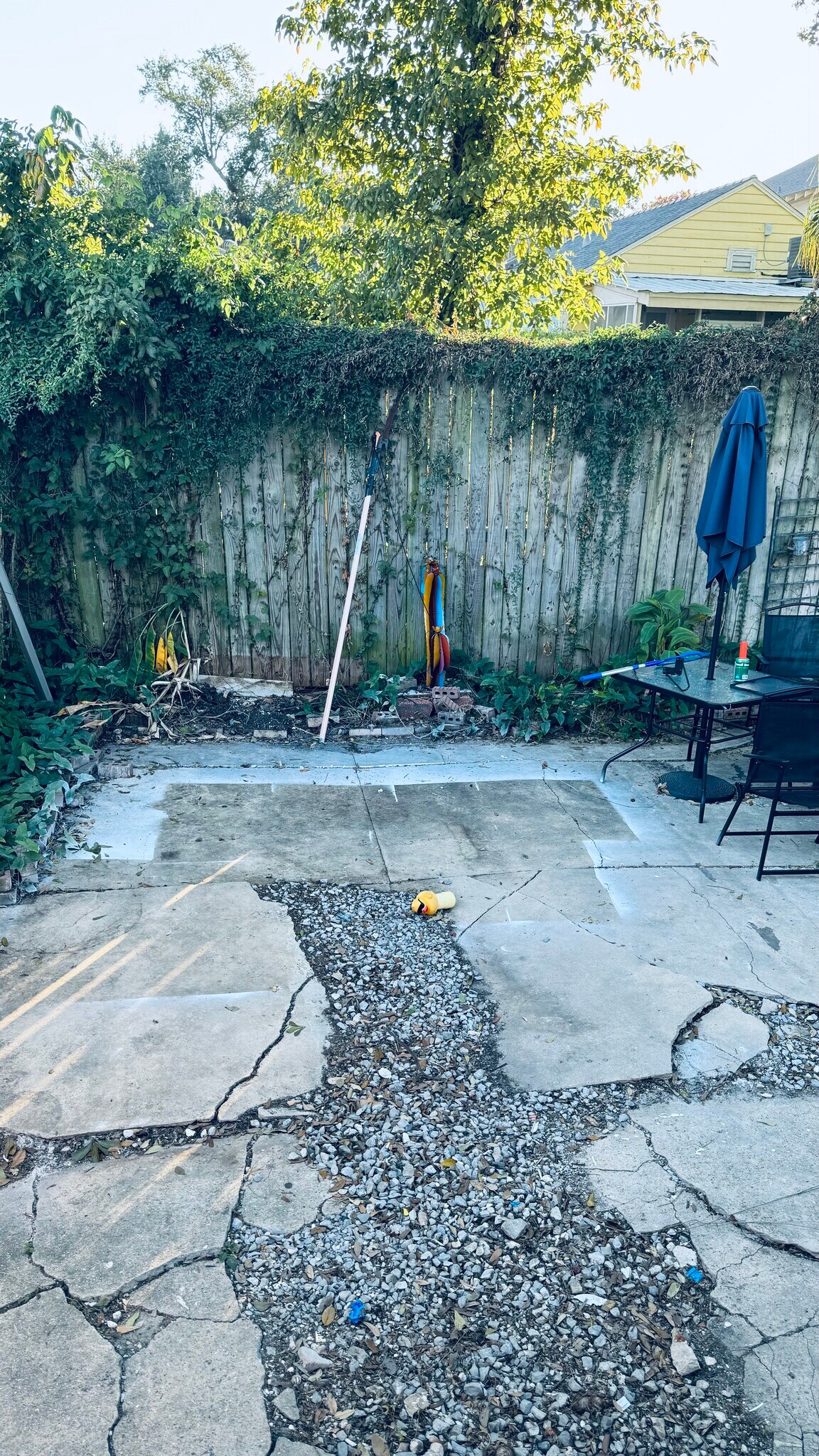 Back yard - 4420 General Pershing St