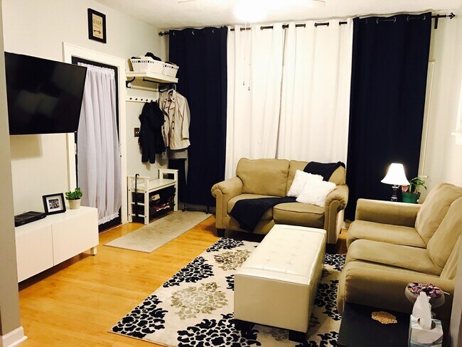 Living room - 4048 Snelling Ave