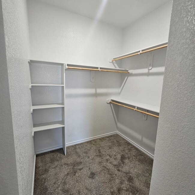 Building Photo - Beautiful new custom home