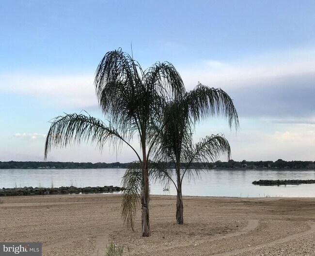 Building Photo - 316 Monroe Point Dr
