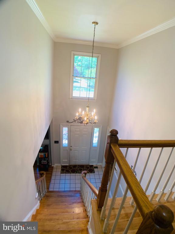 Building Photo - 8604 Oak Chase Cir