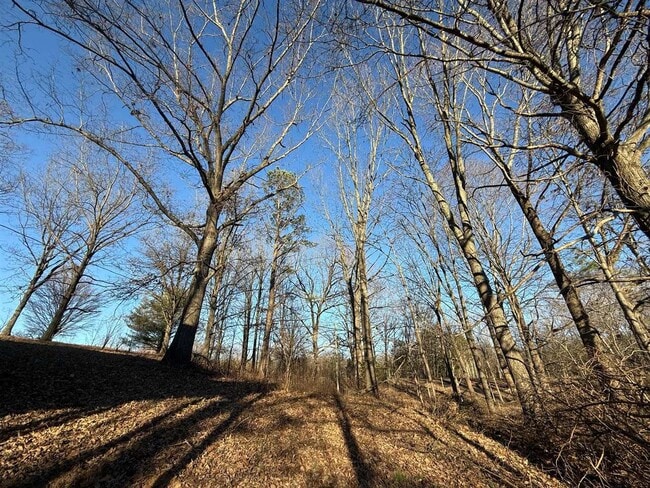 Building Photo - 649 Old Drake Temperance Rd