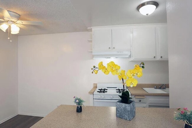 Building Photo - Beautiful and Large One bedroom Apt