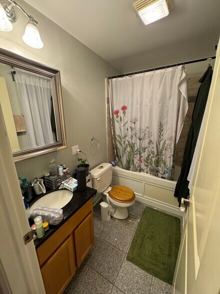 Bathroom 2 - 3925 W Altgeld St