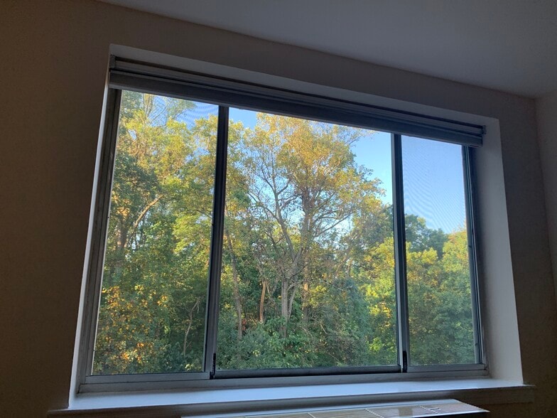 Direct, private views of the park - 4100 W St NW