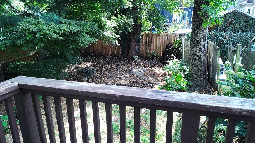 BACKYARD FROM THE BACK PORCH - 4 Edmarth Pl