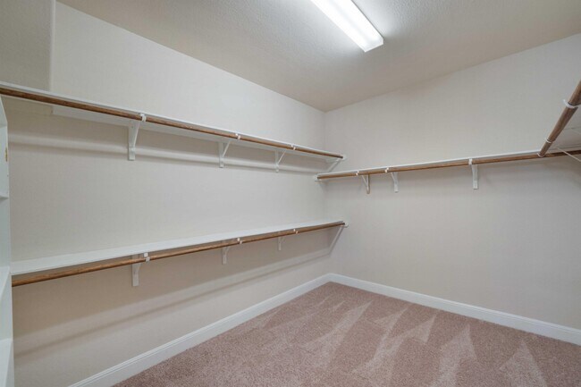 Building Photo - 3825 Vinalopo Dr