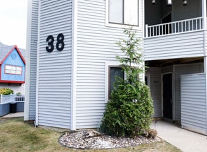 Building Photo - 3807 Babe Ct