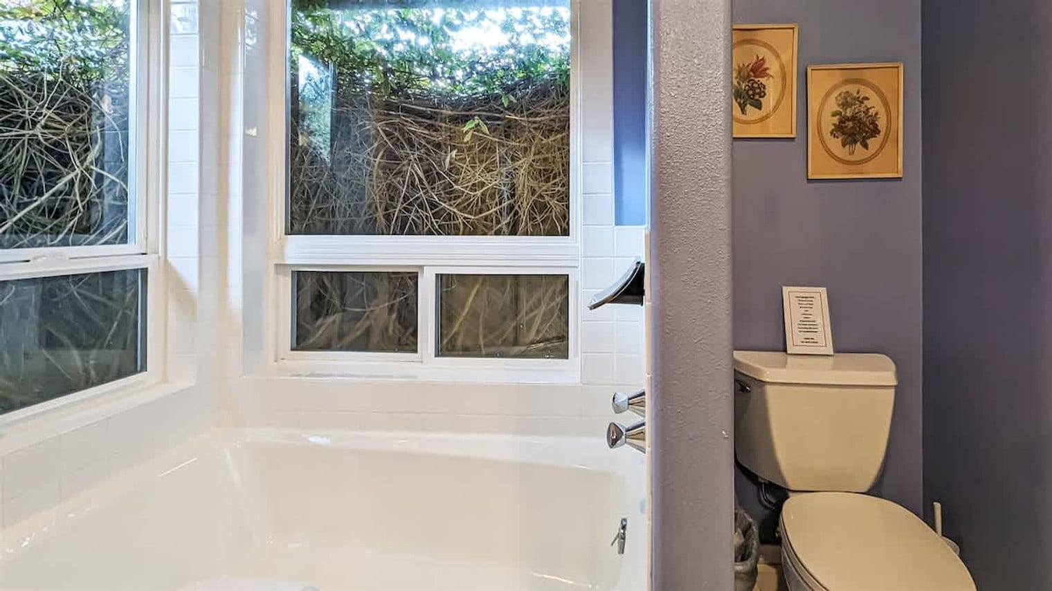 Building Photo - 123 E Bachelor Rock Dr