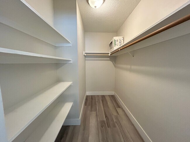 Building Photo - Mid-Century Modern Gem in Historic Paradise Palms!