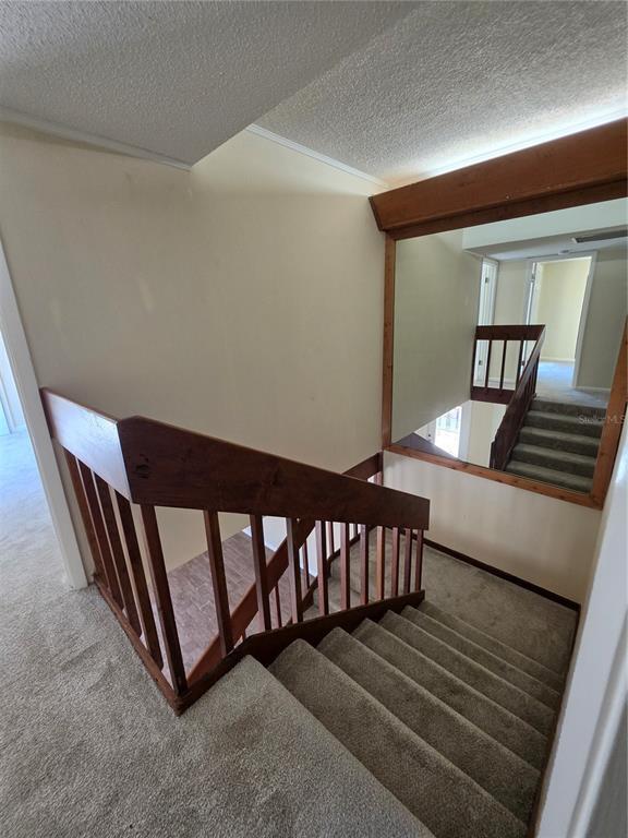 Building Photo - 3824 Saxon Dr