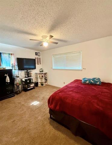 Building Photo - 124 Juanita Ave