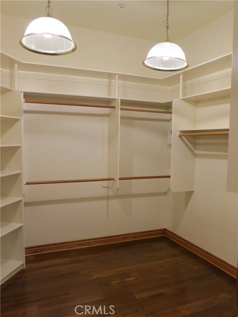 Building Photo - 713 Pamela Cir