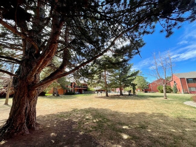 Building Photo - Beautiful Two-story, 3 Bed, 1.5 Bath Condo 1/2 Mile from CSU!