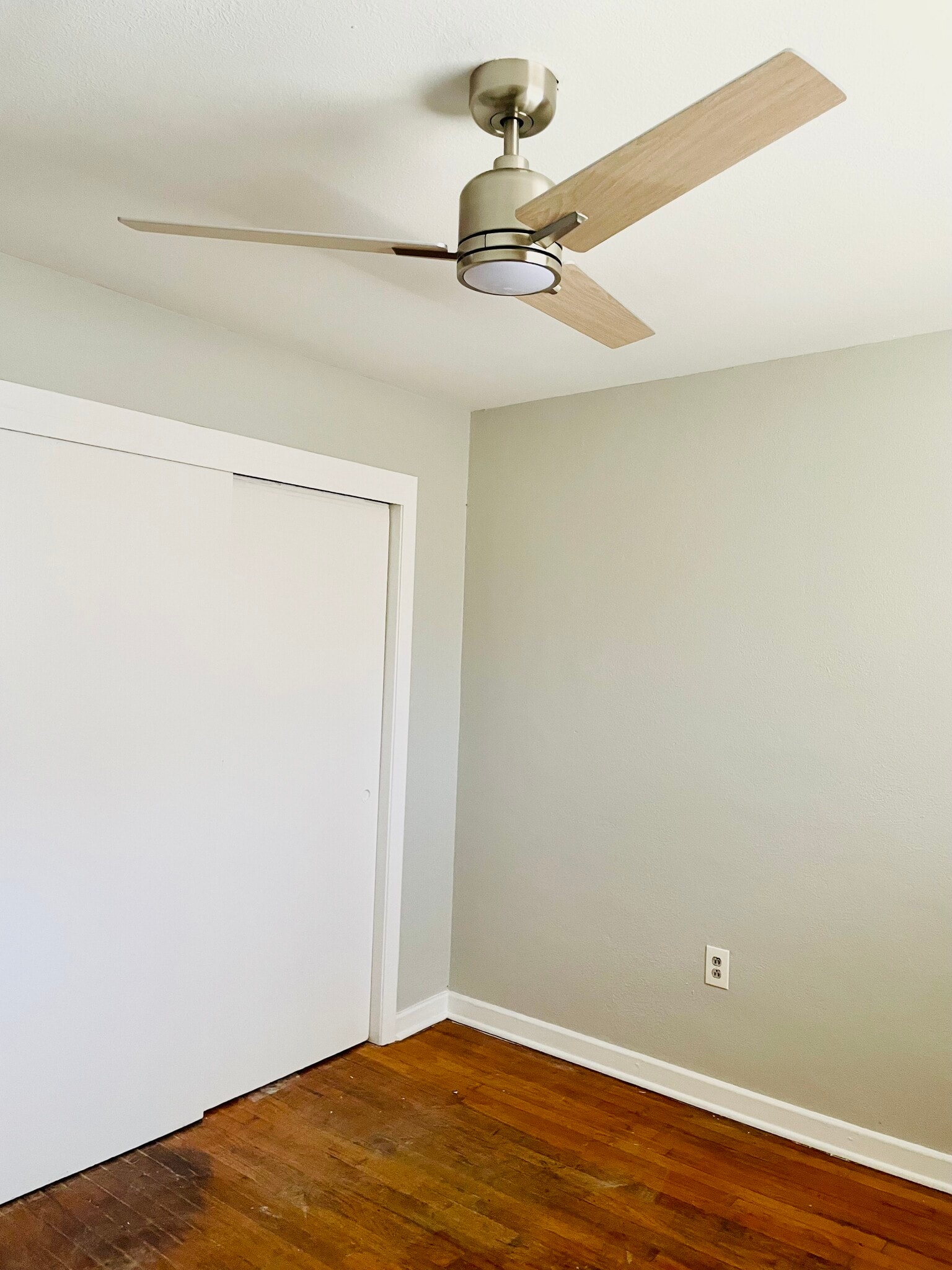 Building Photo - 869 Geranium St