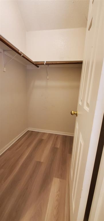 Building Photo - 8617 Talyne Chaise Cir
